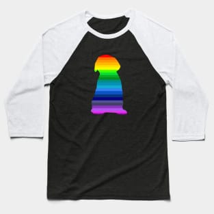 Rainbow Puppy Lab Baseball T-Shirt